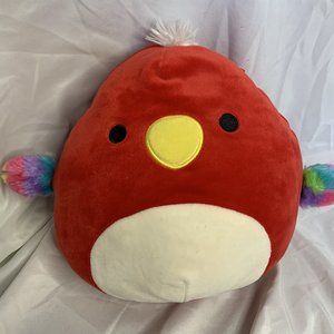 8 inch Paco the parrot squishmallow